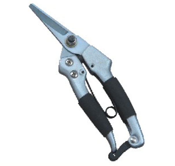 3884