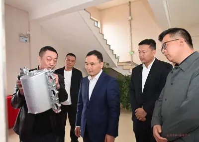 提振信心!市领导调研指导浙江镁谷国际科技有限公司